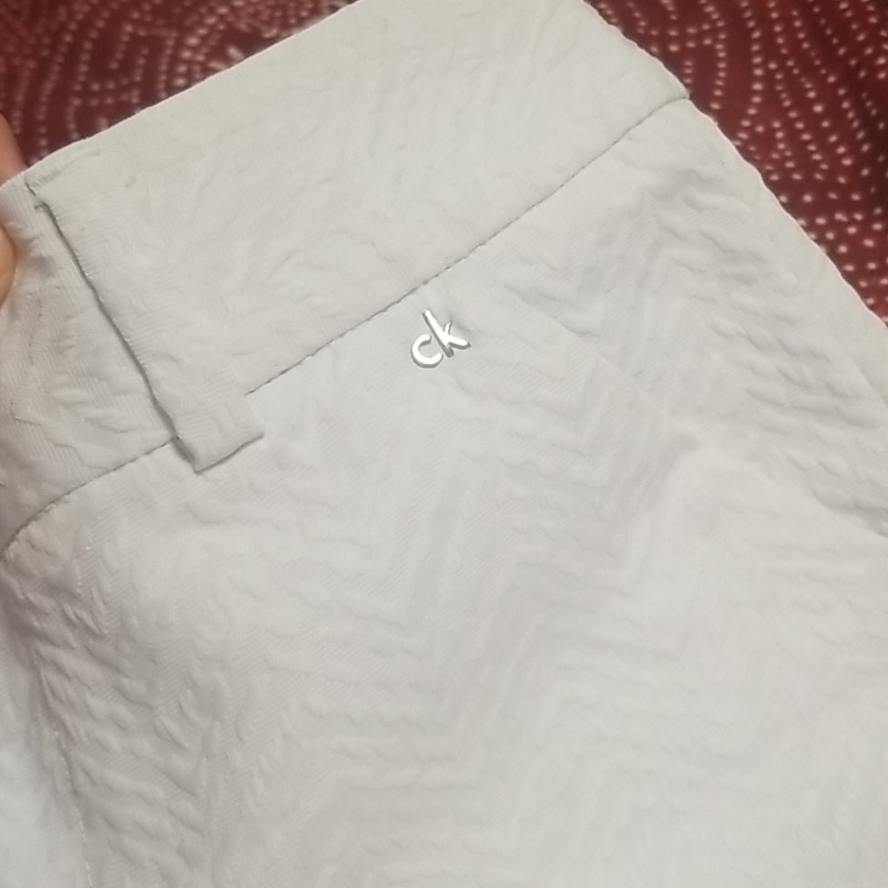 Shorts - Picture 4 of 4